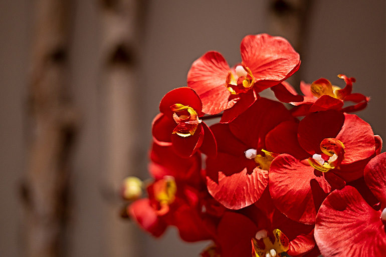 slider_elipses_3